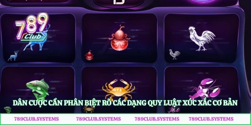 Dân cược cần phân biệt rõ các dạng quy luật xúc xắc cơ bản